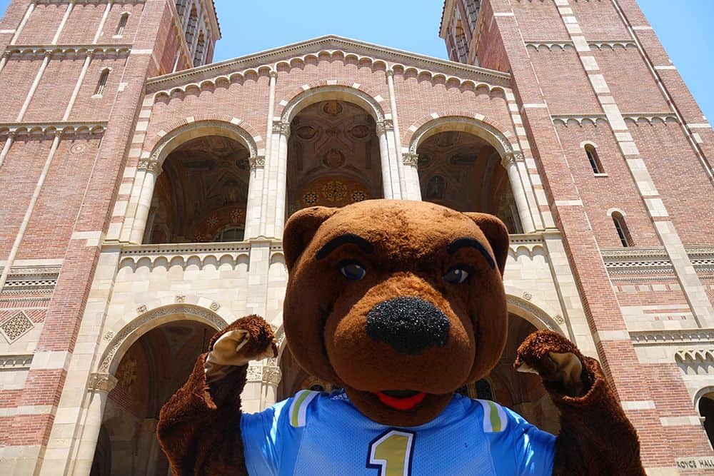 ucla mascot