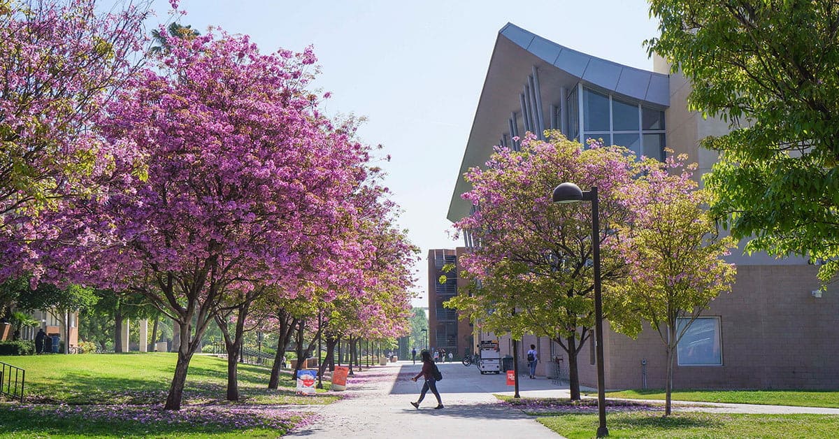 California-State-University-Northridge-Building-Campus-Tree-May-2021