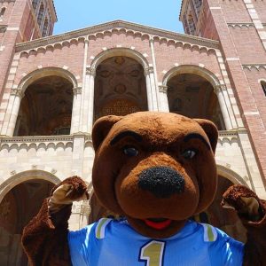 ucla mascot ucla mascot